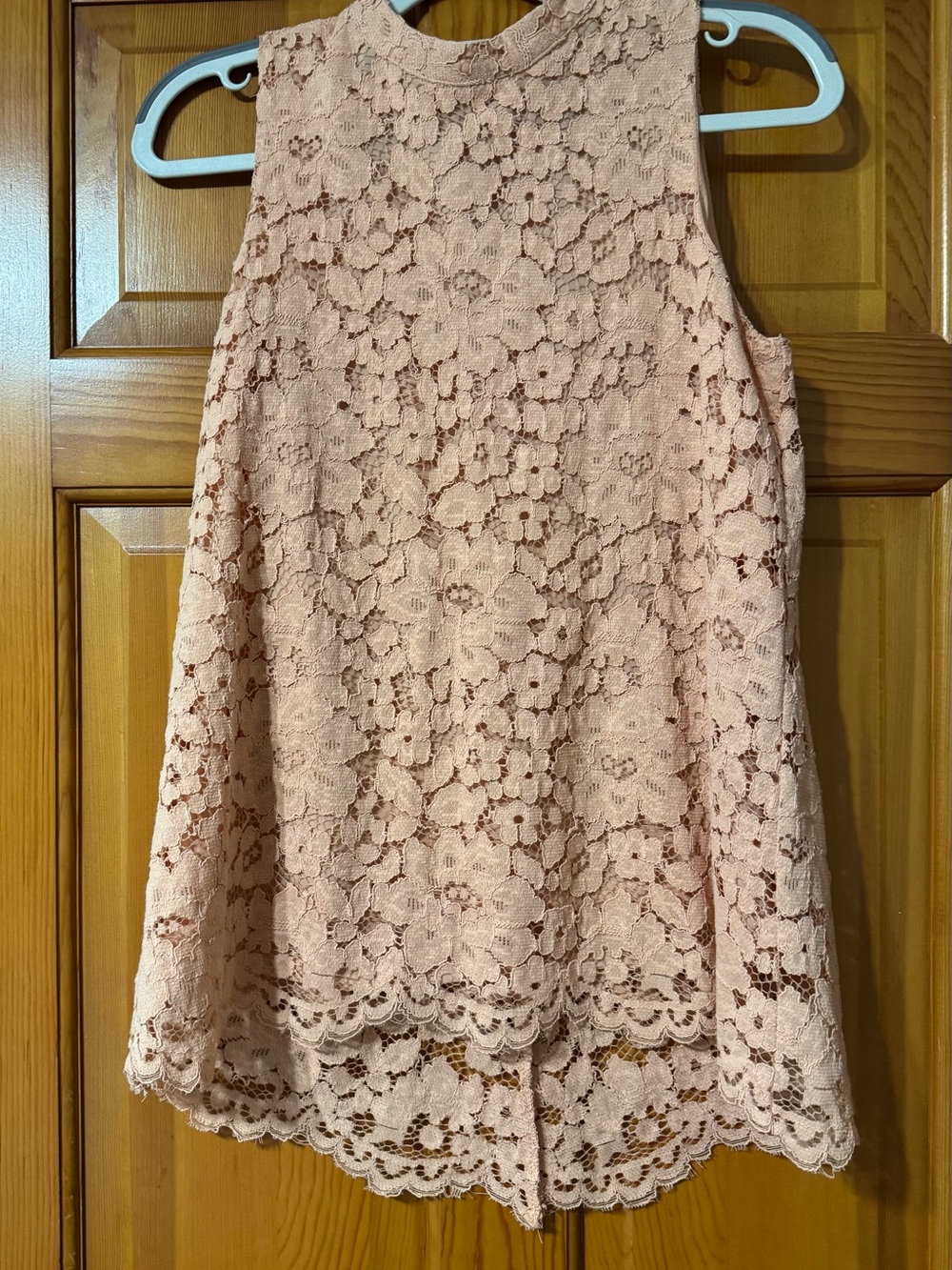 Rose & Olive Blush Pink Lace A-Line Skirt